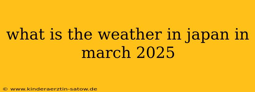 what is the weather in japan in march 2025