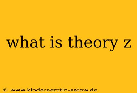 what is theory z