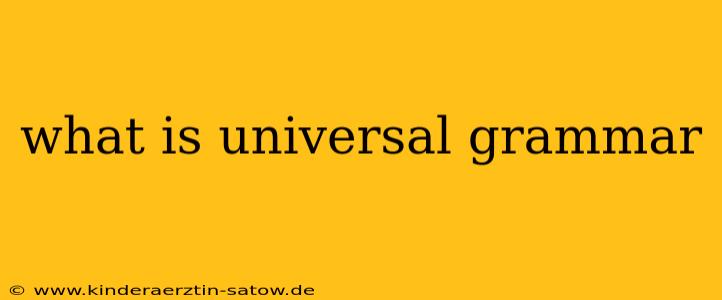 what is universal grammar