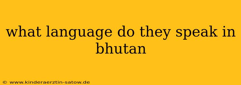 what language do they speak in bhutan