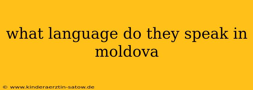 what language do they speak in moldova