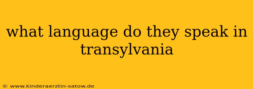 what language do they speak in transylvania