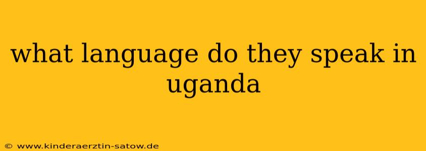 what language do they speak in uganda