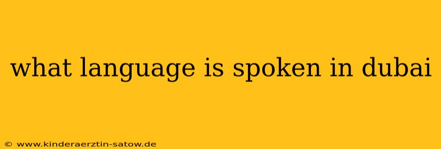 what language is spoken in dubai