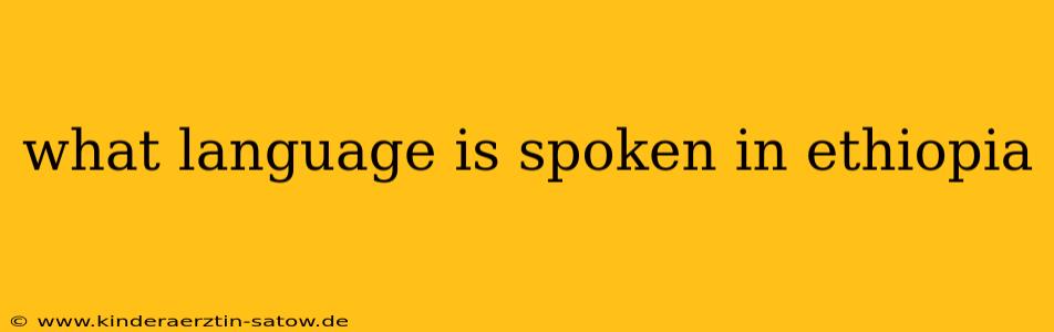 what language is spoken in ethiopia