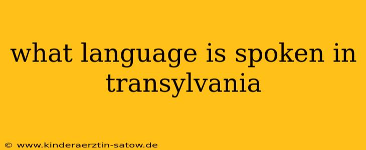 what language is spoken in transylvania