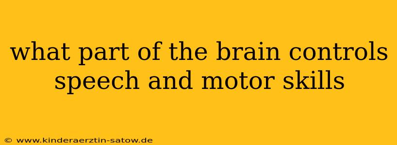 what part of the brain controls speech and motor skills