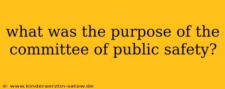 what was the purpose of the committee of public safety?