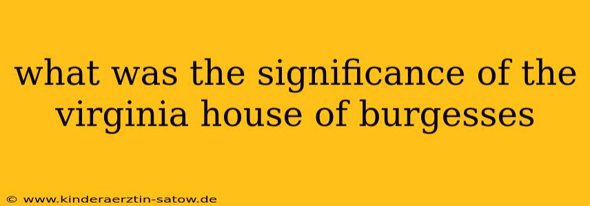 what was the significance of the virginia house of burgesses