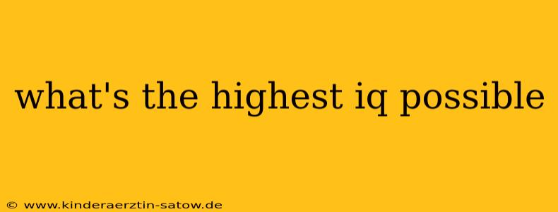 what's the highest iq possible