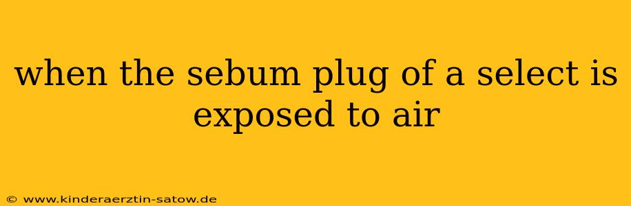 when the sebum plug of a select is exposed to air