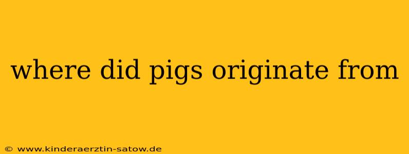 where did pigs originate from