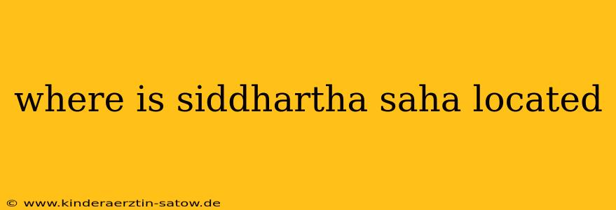 where is siddhartha saha located