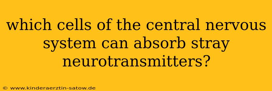 which cells of the central nervous system can absorb stray neurotransmitters?