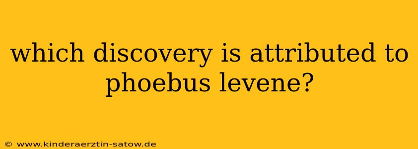 which discovery is attributed to phoebus levene?
