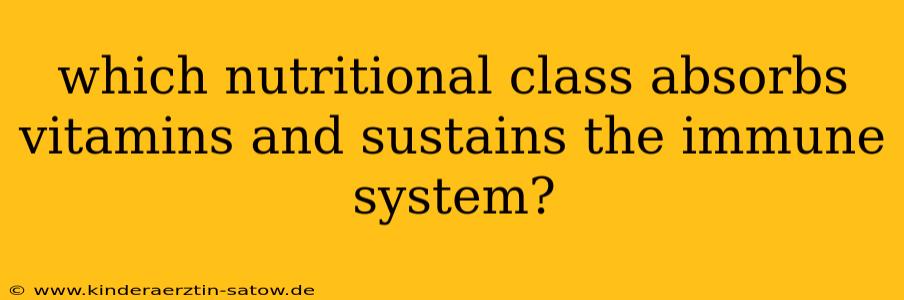 which nutritional class absorbs vitamins and sustains the immune system?