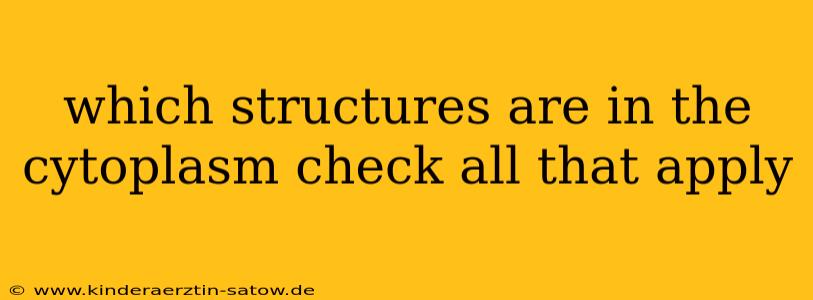 which structures are in the cytoplasm check all that apply