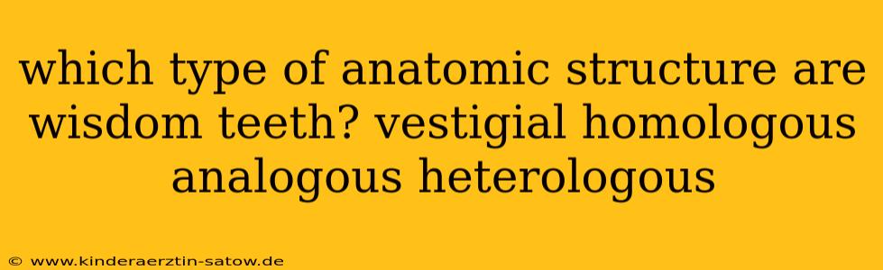 which type of anatomic structure are wisdom teeth? vestigial homologous analogous heterologous
