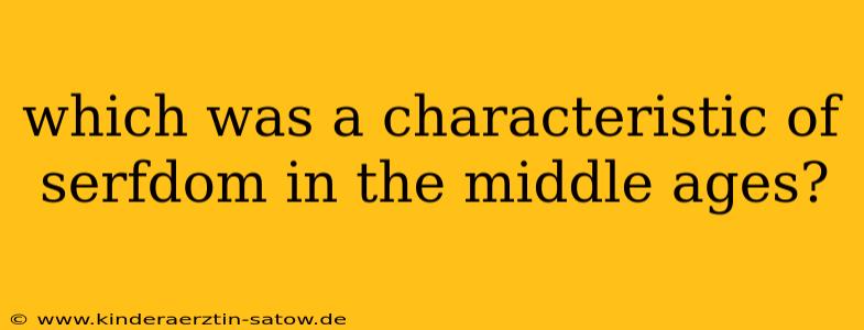 which was a characteristic of serfdom in the middle ages?