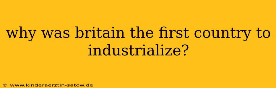 why was britain the first country to industrialize?