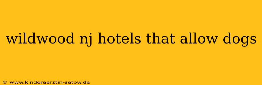 wildwood nj hotels that allow dogs