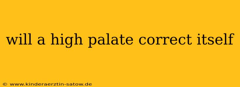will a high palate correct itself